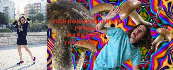 jwh Вязьма
