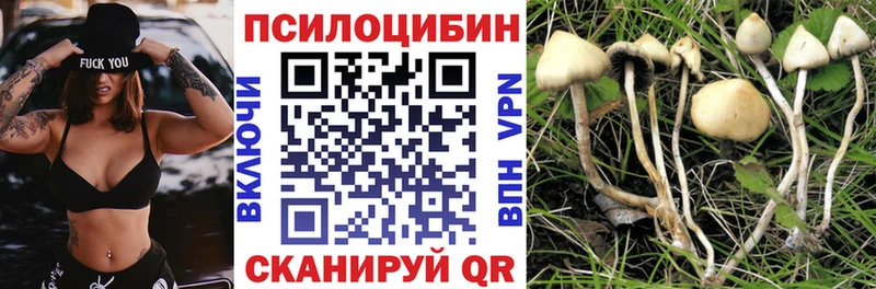 Псилоцибиновые грибы мухоморы  купить наркотики сайты  Гусь-Хрустальный 